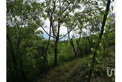 TERRENO EN VENTA  DE 2,900 M2, EN LOMAS DE MATUMATZA, TUXTLA