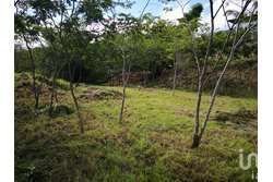 TERRENO EN VENTA  DE 2,900 M2, EN LOMAS DE MATUMATZA, TUXTLA