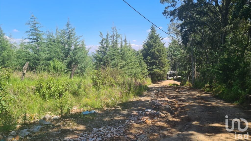 VENTA DE TERRENO EN JILOTZINGO