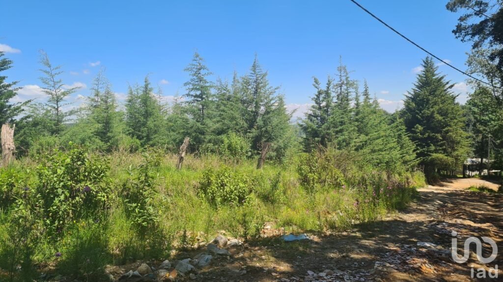 VENTA DE TERRENO EN JILOTZINGO