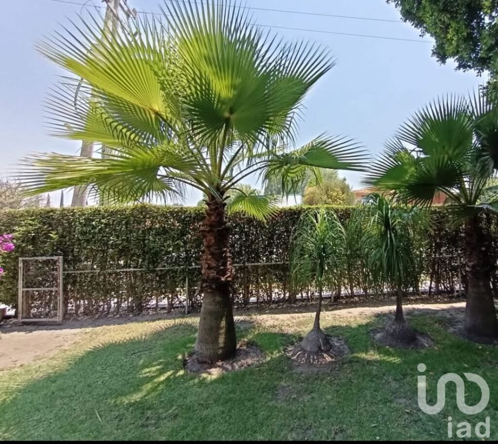 Terreno Premium, Club de Golf El Cristo, Atlixco, Puebla