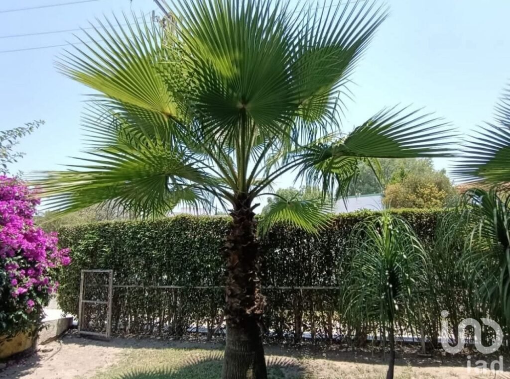 Terreno Premium, Club de Golf El Cristo, Atlixco, Puebla