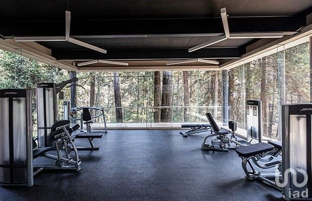 DEPARTAMENTO EN VENTA , EN COLONIA OLIVAR DE LOS PADRES.