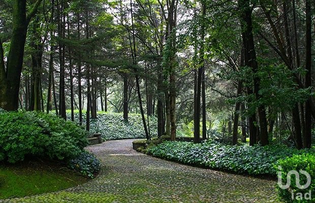 DEPARTAMENTO EN VENTA , EN COLONIA OLIVAR DE LOS PADRES. DEPARTAMENTO EN VENTA , EN COLONIA OLIVAR DE LOS PADRES.