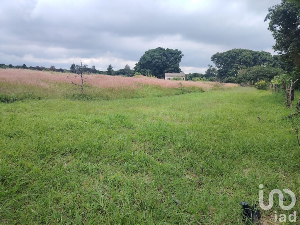 Venta de Terreno en carretera Yecapixtla-Ocuituco, Morelos.