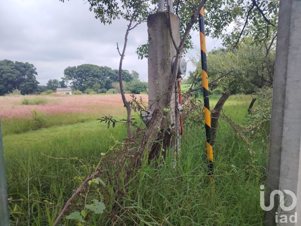 Venta de Terreno en carretera Yecapixtla-Ocuituco, Morelos.