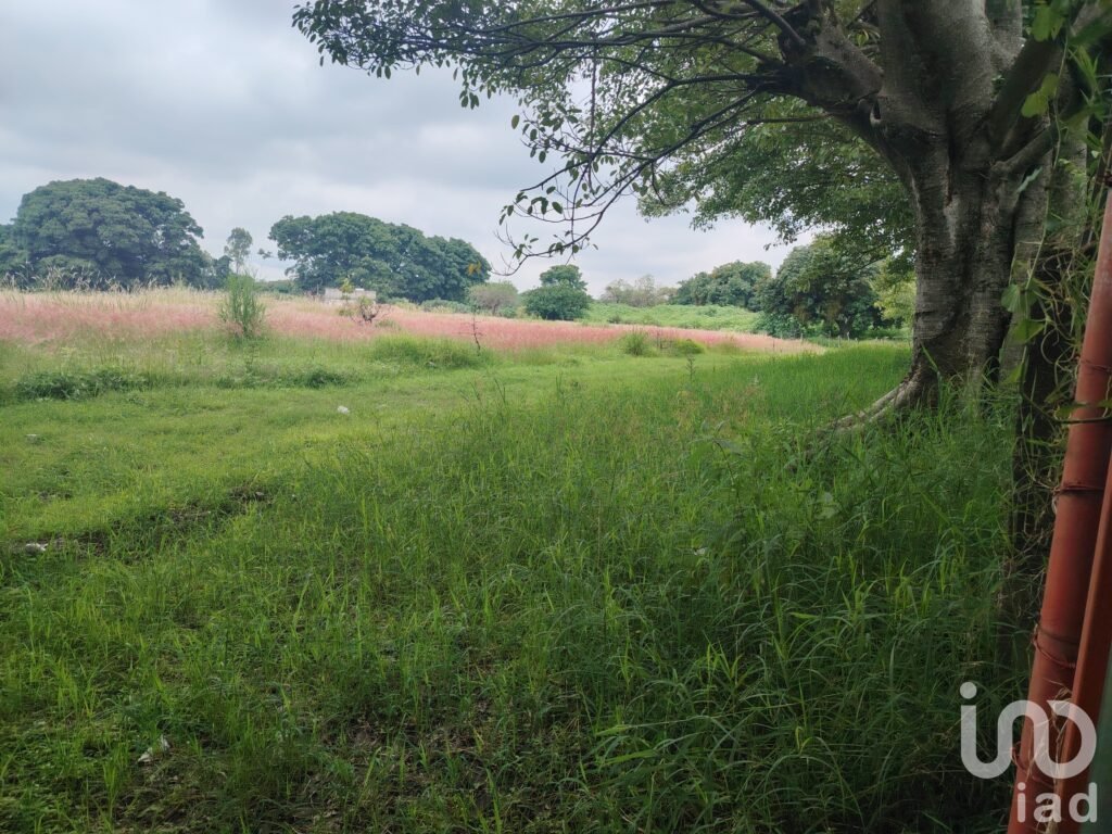 Venta de Terreno en carretera Yecapixtla-Ocuituco, Morelos.