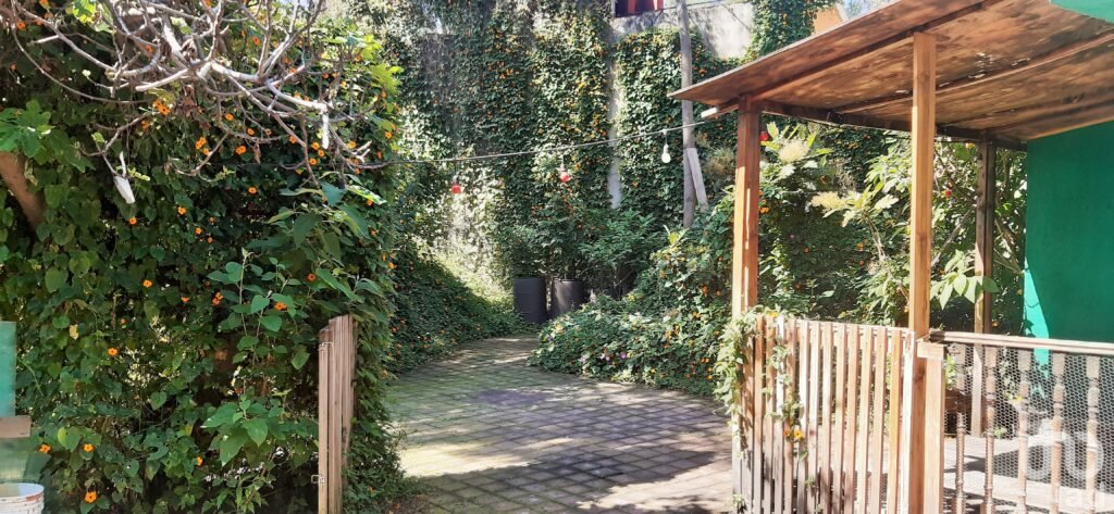 IDEAL PROPIEDAD PARA INVERSIONISTAS EN VENTA EN BARRIO DEL NIÑO JESÚS - COYOACÁN, CDMX