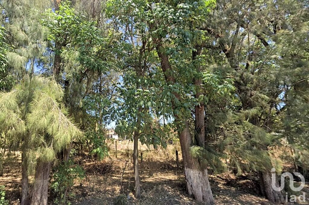 Terreno para desarrollo en Valle de Bravo