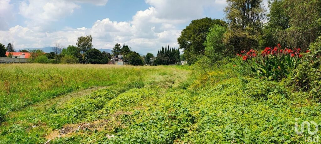 TERRENO EN TEOLOYUCAN, BARRIO DE SANTIAGO, ESTADO DE MÉXICO. ¡PRECIO DE OPORTUNIDAD!