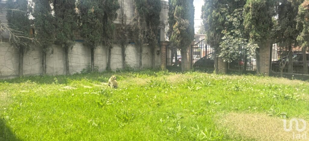 TERRENO EN TEOLOYUCAN, BARRIO DE SANTIAGO, ESTADO DE MÉXICO. ¡PRECIO DE OPORTUNIDAD!