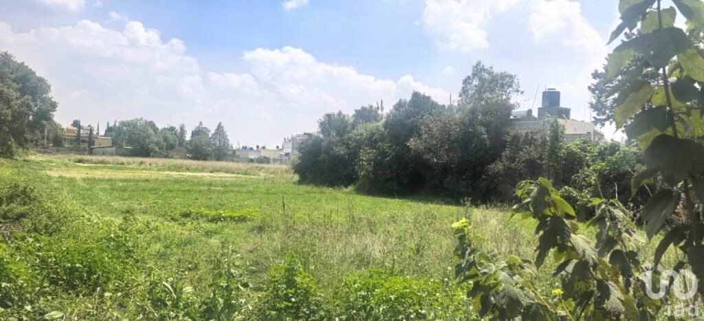 TERRENO EN TEOLOYUCAN, BARRIO DE SANTIAGO, ESTADO DE MÉXICO. ¡PRECIO DE OPORTUNIDAD!