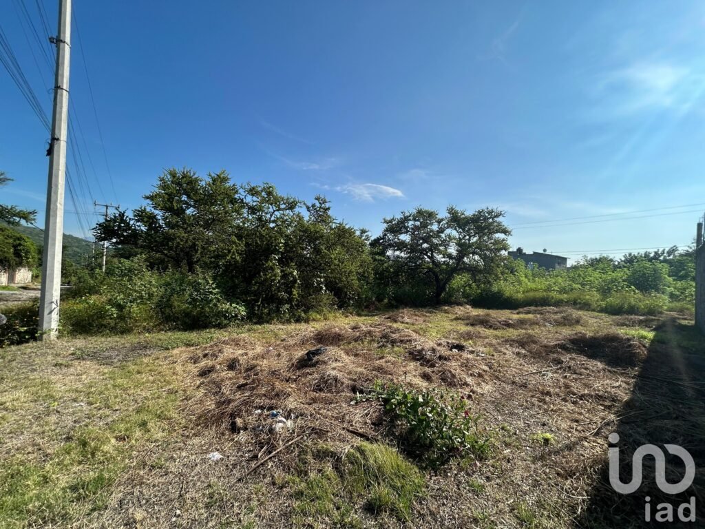 Terreno plano en venta, escriturado, en Alpuyeca, Xochitepec