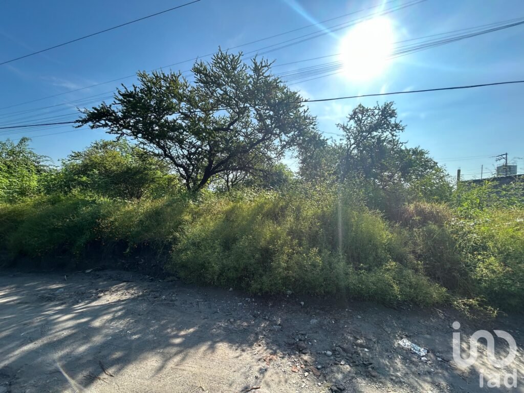 Terreno plano en venta, escriturado, en Alpuyeca, Xochitepec