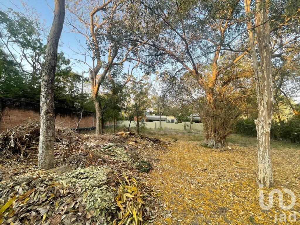 TERRENO EN VENTA DENTRO DE COTO PRIVADO, AMBIENTE SEGURO, COLIMA, COLIMA