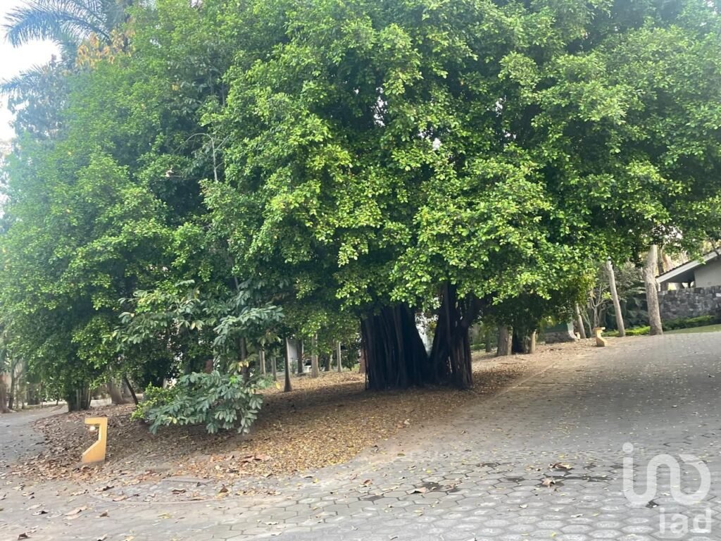 TERRENO EN VENTA DENTRO DE COTO PRIVADO, AMBIENTE SEGURO, COLIMA, COLIMA