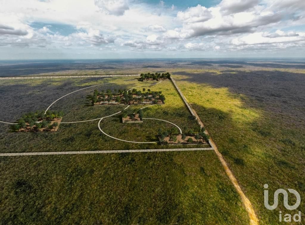 TERRENOS EN PREVENTA EN DESARROLLO LLAMADO TOTEM  48 MSI A SOLO 15 MIN. DE PLAYA CELESTUN, YUCATAN