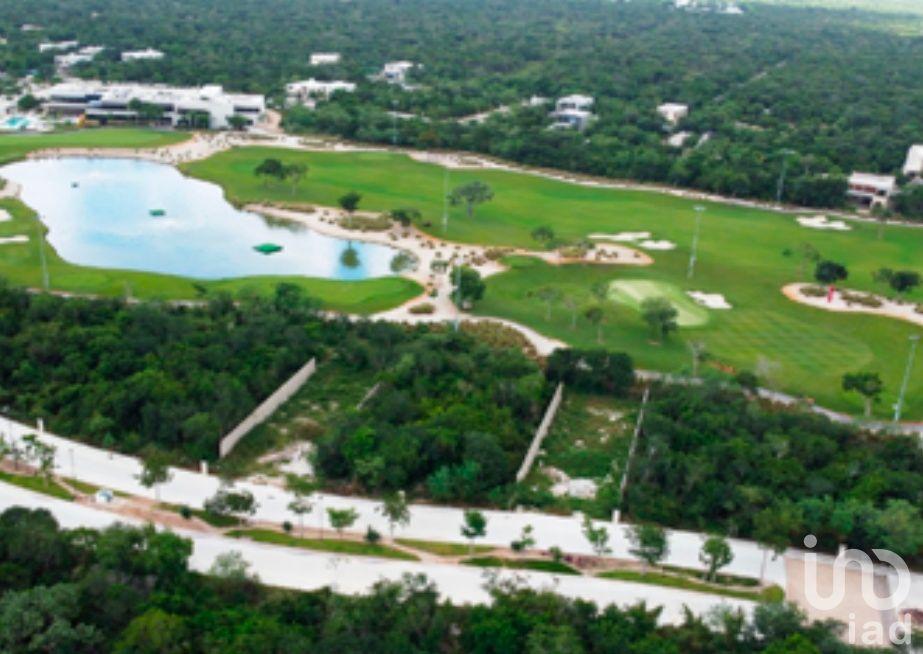 Venta de terreno en Provincia, Mérida, Yucatán Venta de terreno en Provincia, Mérida, Yucatán