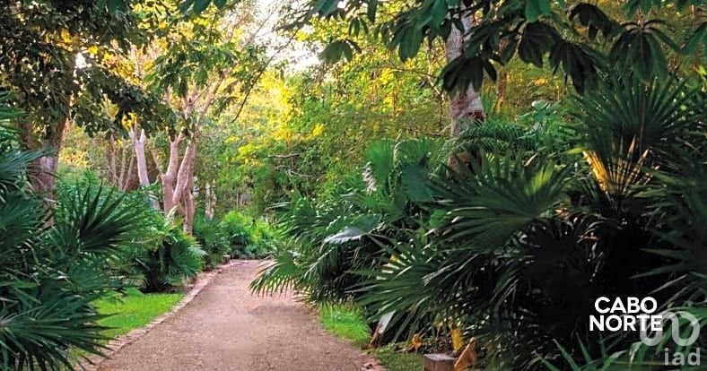 Venta de terreno en Cabo Norte, Mérida, Yucatán.