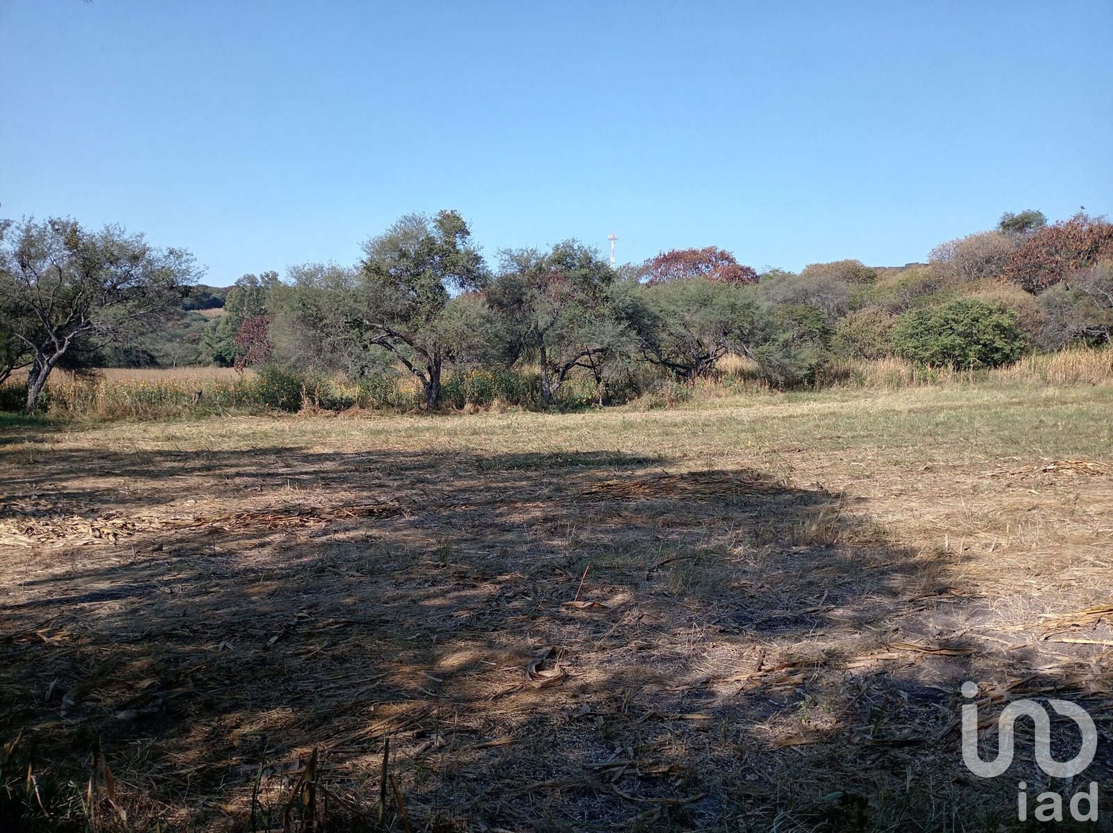 Terrenos Campestres de 406mts con Escritura en Fracc. El Remanso, Capacho