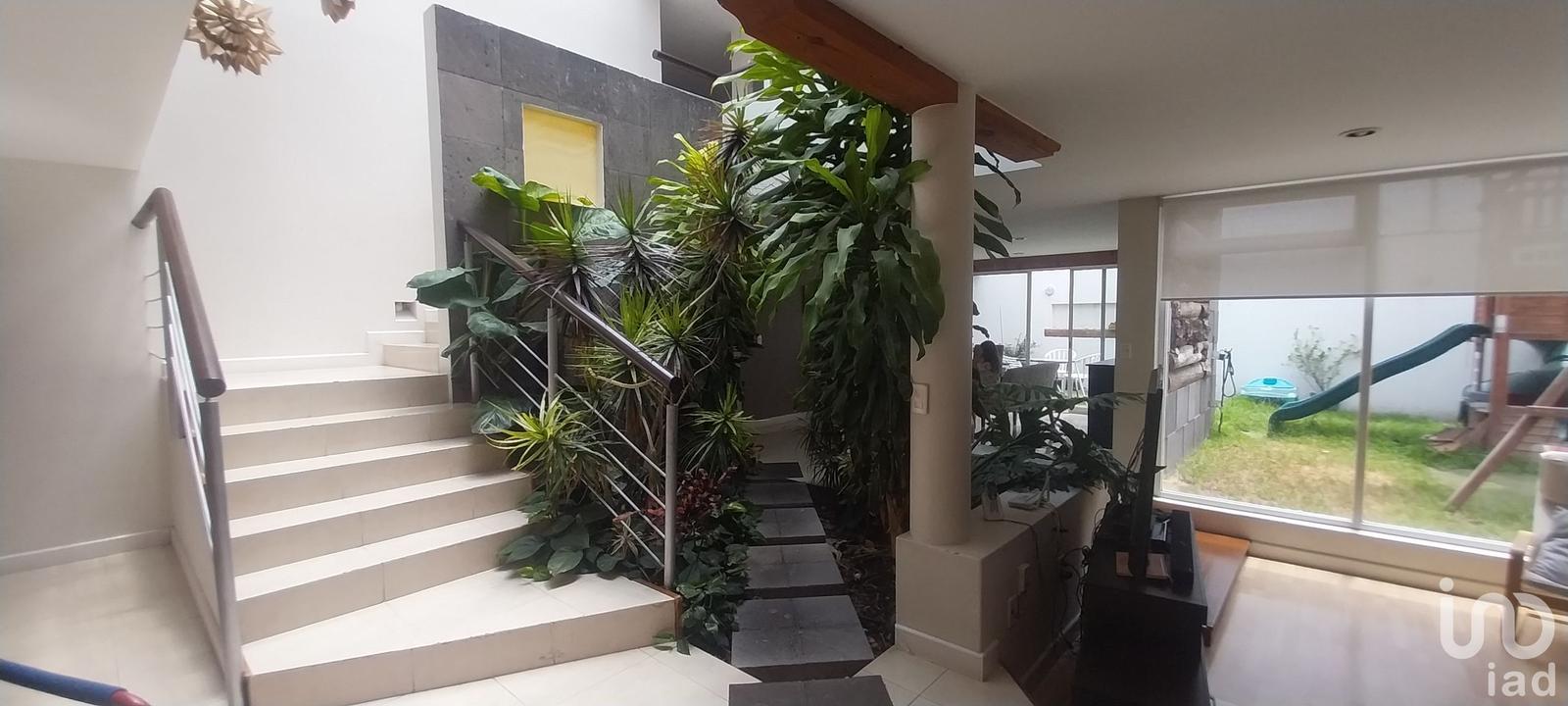 Se Vende casa en la Privada Juniperos, Arboleda de San Javier 3seccion, Pachuca, Hidalgo. Se Vende casa en la Privada Juniperos, Arboleda de San Javier 3seccion, Pachuca, Hidalgo.