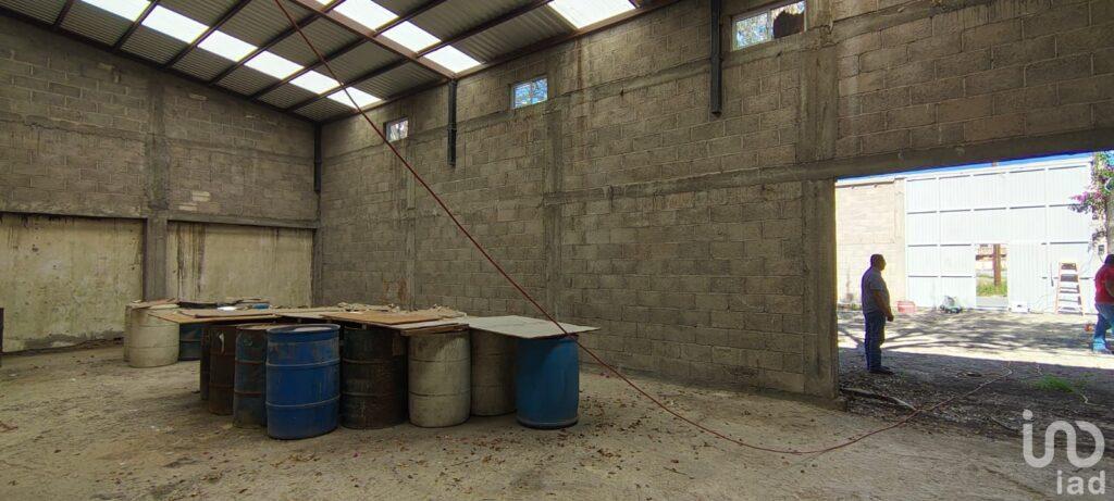 Terreno + Bodega en Renta