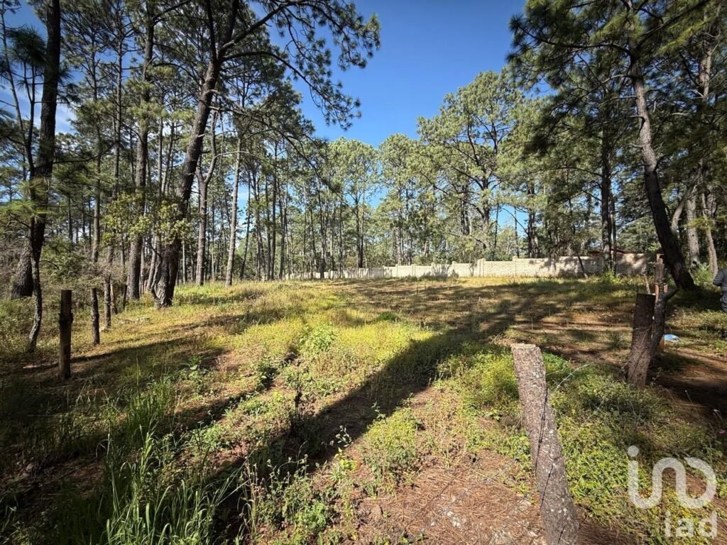 Terreno en Tapalpa 3000 mt2  (El Estuche Grande)