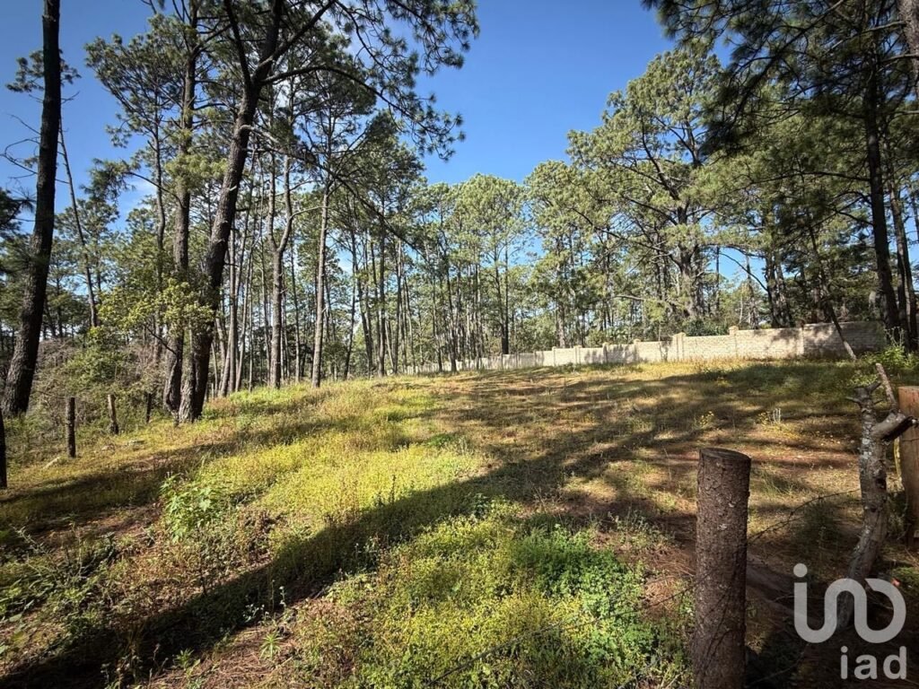 Terreno en Tapalpa 3000 mt2  (El Estuche Grande)
