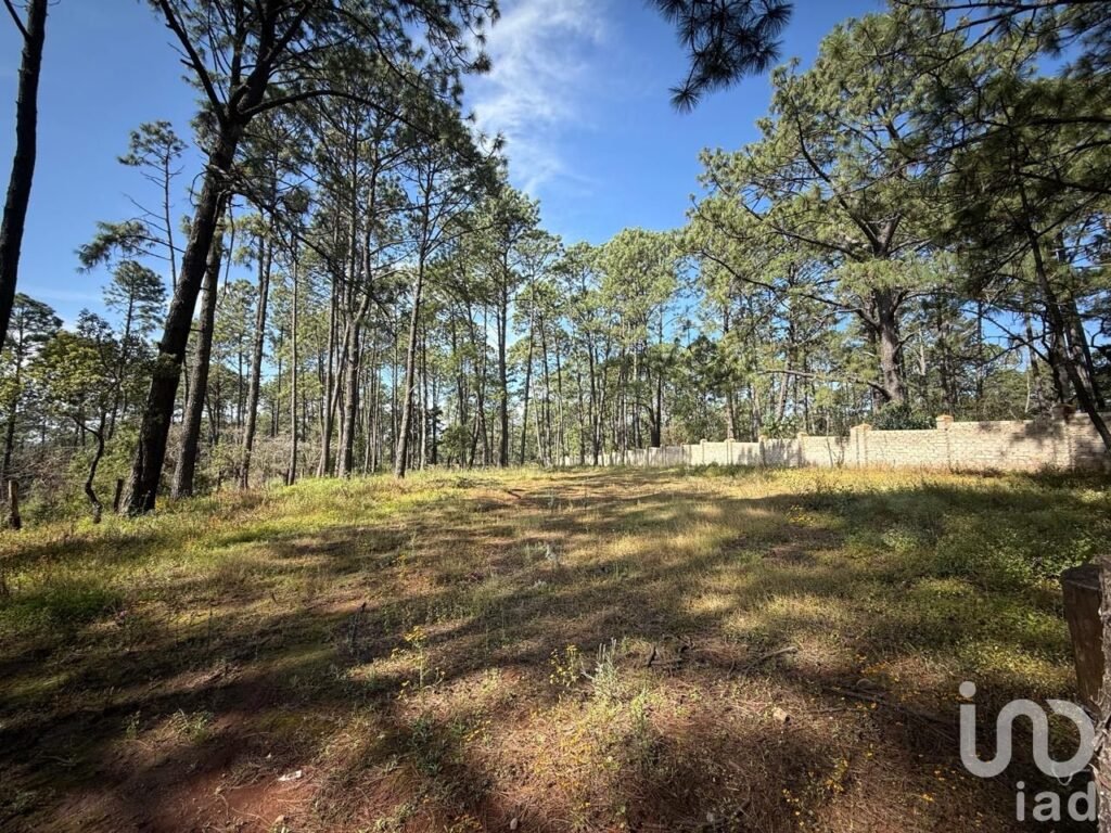 Terreno en Tapalpa 3000 mt2  (El Estuche Grande)