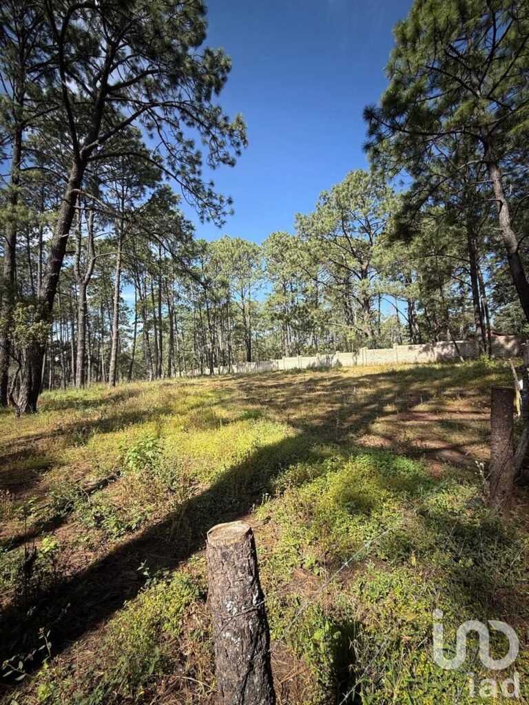 Terreno en Tapalpa 3000 mt2  (El Estuche Grande)