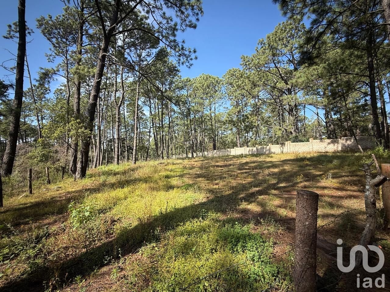 Terreno en Tapalpa 3000 mt2  (El Estuche Grande)