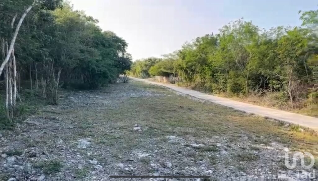 Terreno Y26 - Residencial Phula