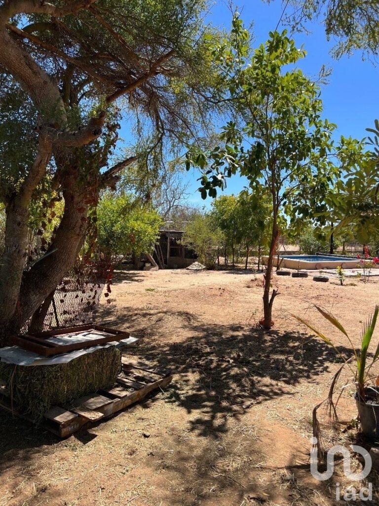 Casa Amplio Terreno en San Pedro