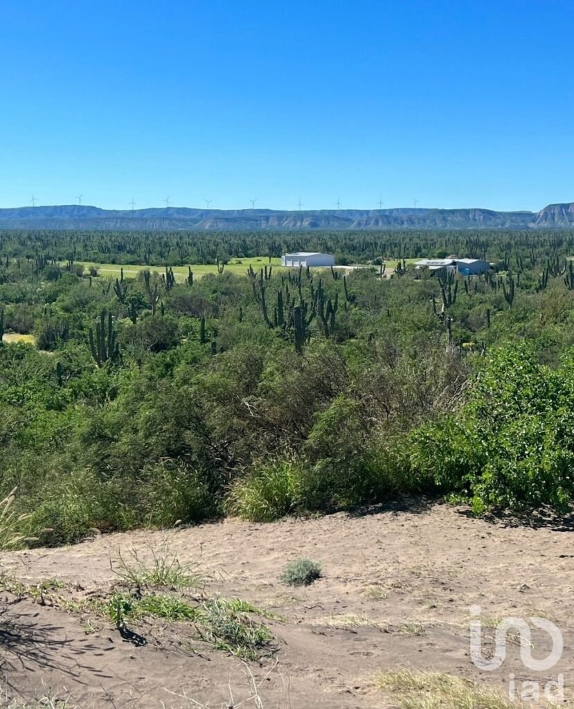 Terreno El Quelele San Juan de la costa