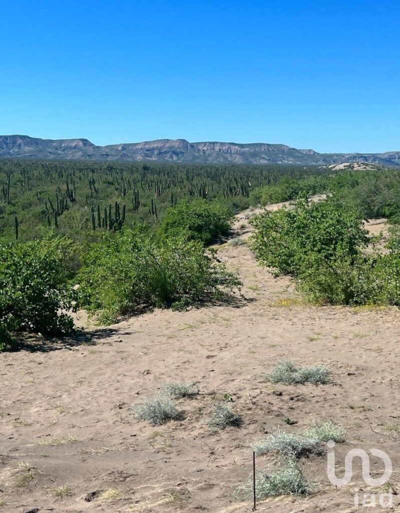 Terreno El Quelele San Juan de la costa