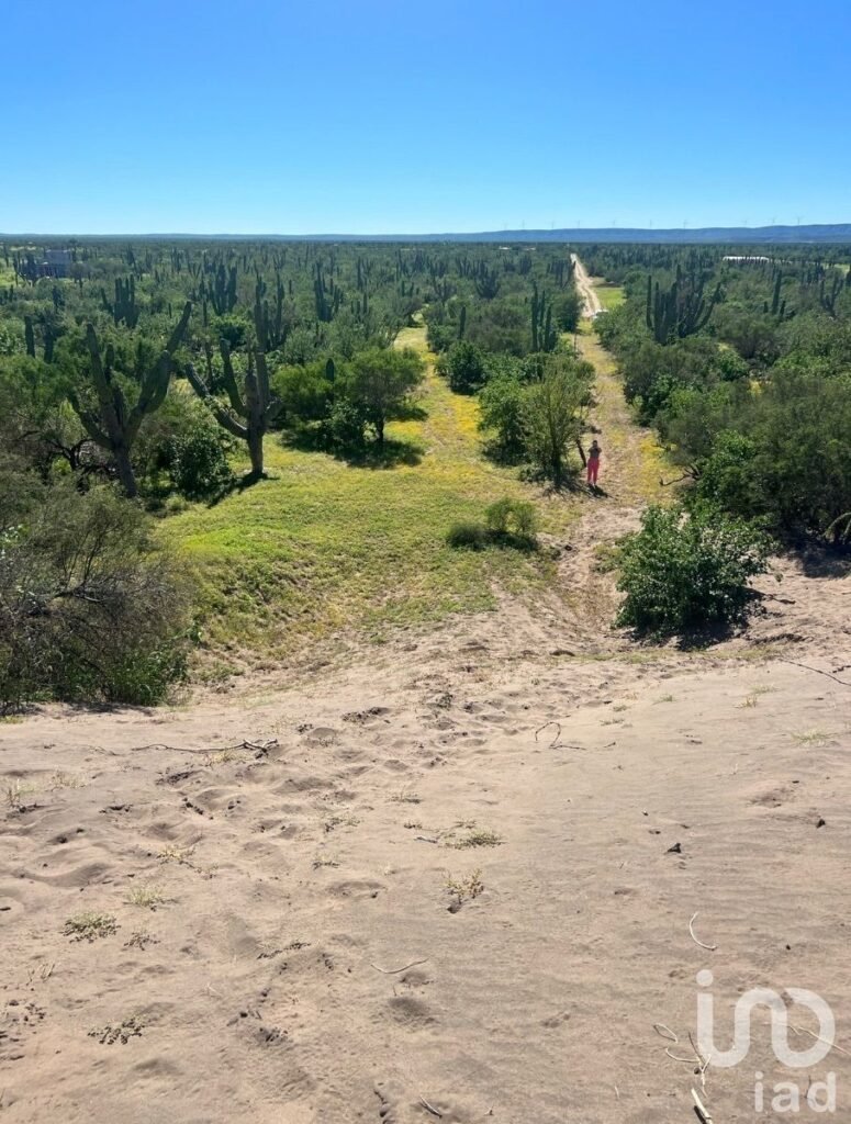 Terreno El Quelele San Juan de la costa