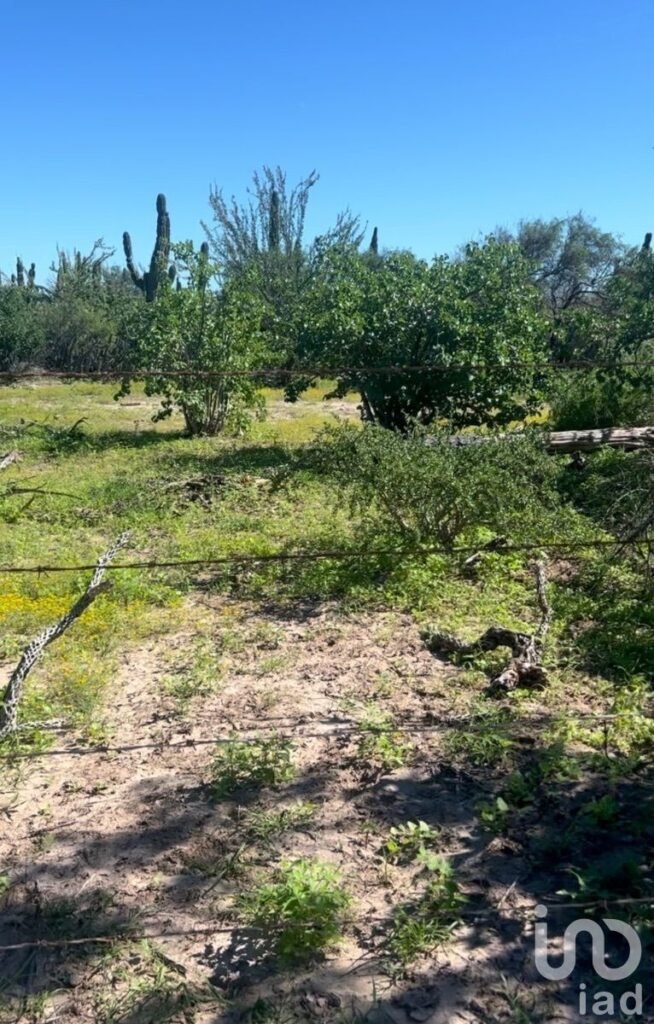Terreno El Quelele San Juan de la costa