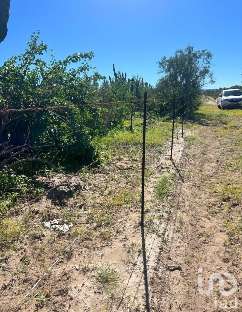 Terreno El Quelele San Juan de la costa