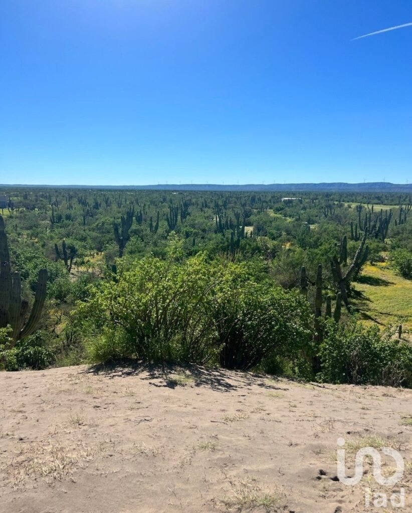 Terreno El Quelele San Juan de la costa