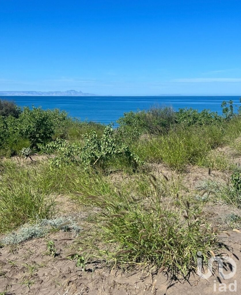 Terreno El Quelele San Juan de la costa