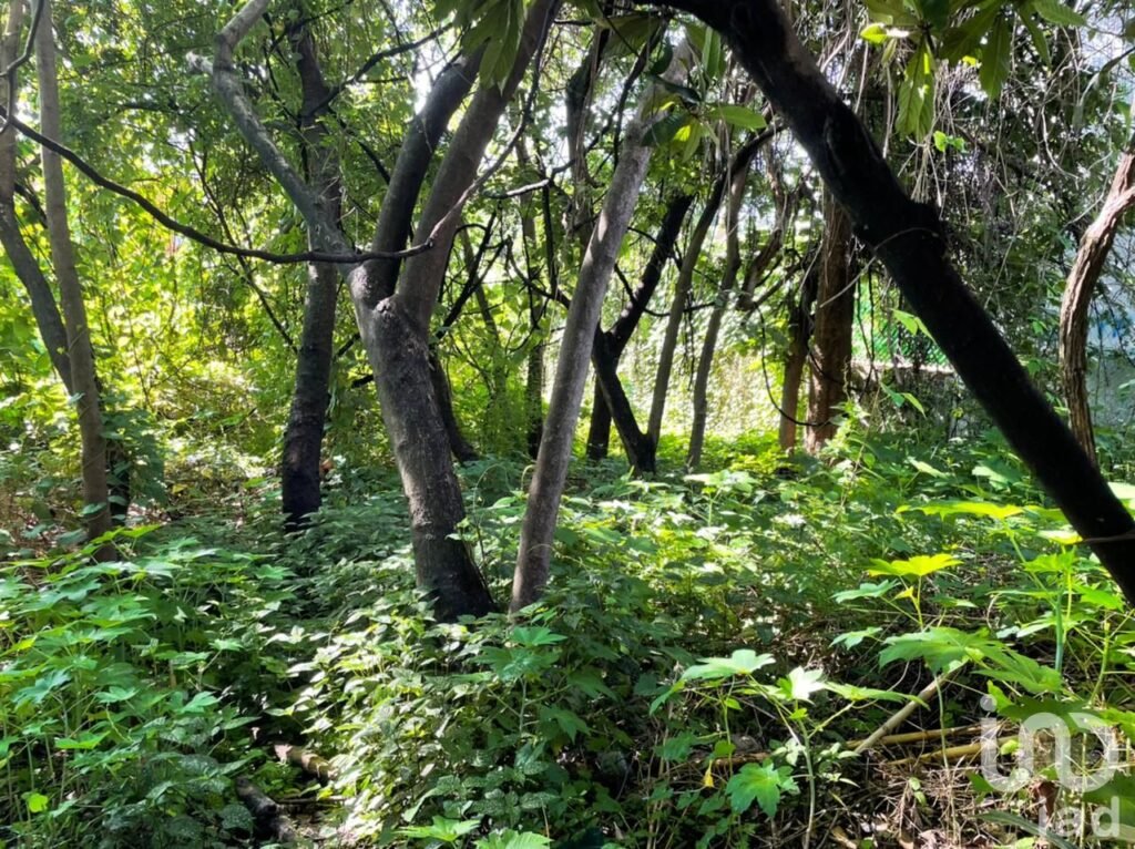 Terreno en venta en Zona Norte de Cuernavaca, Morelos ¡GRAN OPORTUNIDAD BAJA DE PRECIO!