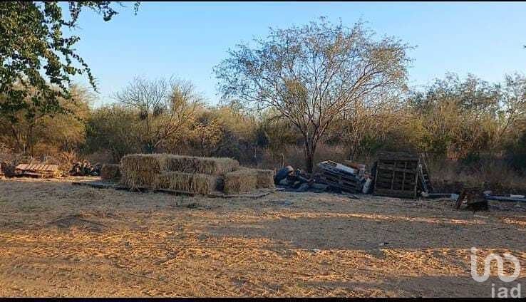 19.40 HECTAREAS PARA DESARROLLAR A UN COSTADO AEROPUERTO