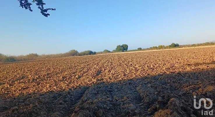 19.40 HECTAREAS PARA DESARROLLAR A UN COSTADO AEROPUERTO