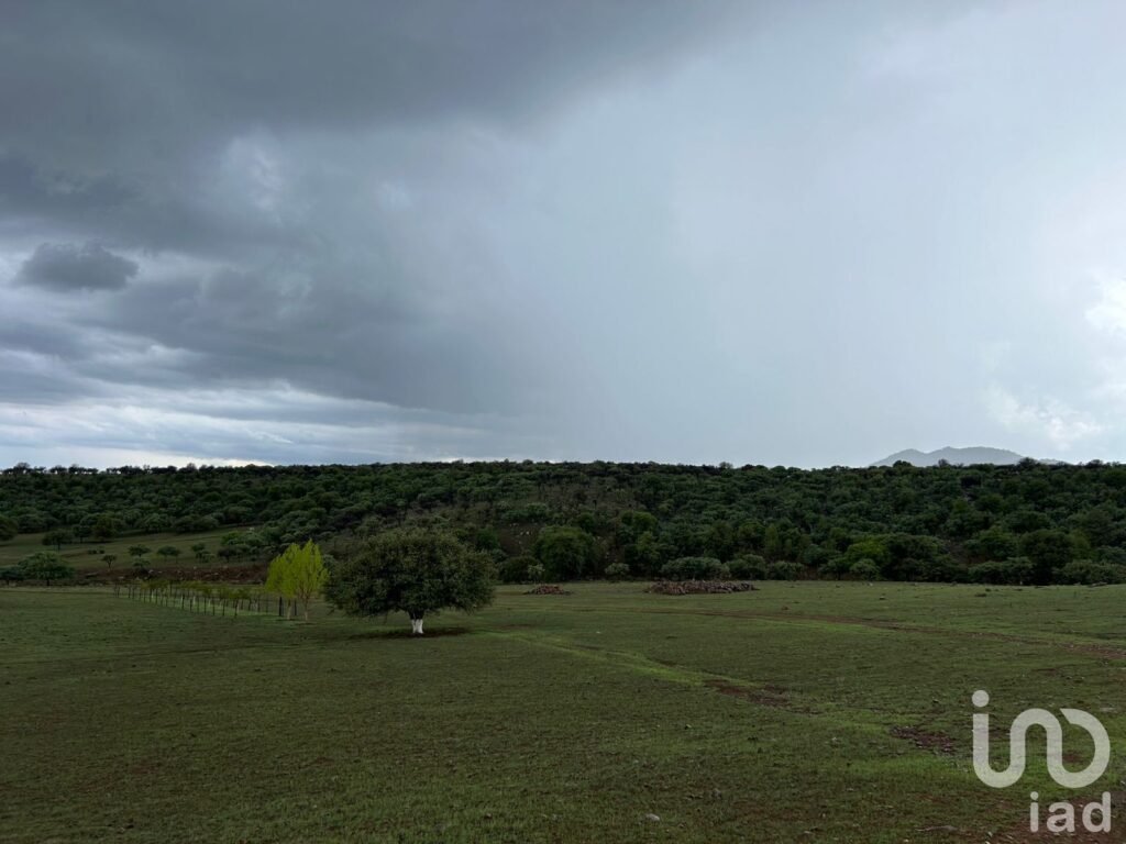 SE VENDE TERRENO PARA USO COMERCIAL A PIE DE CARRETERA 1KM DE LA JUNTA CHIHUAHUA, CHIHUAHUA