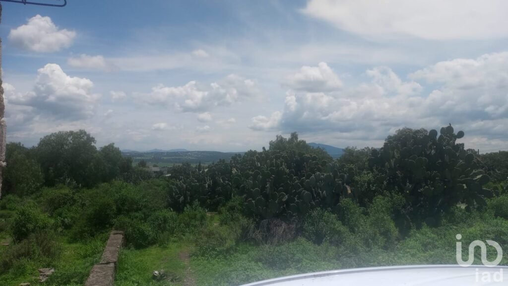 VENTA DE TERRENO TEPEYAHUALCO, ZEMPOALA, HIDALGO.