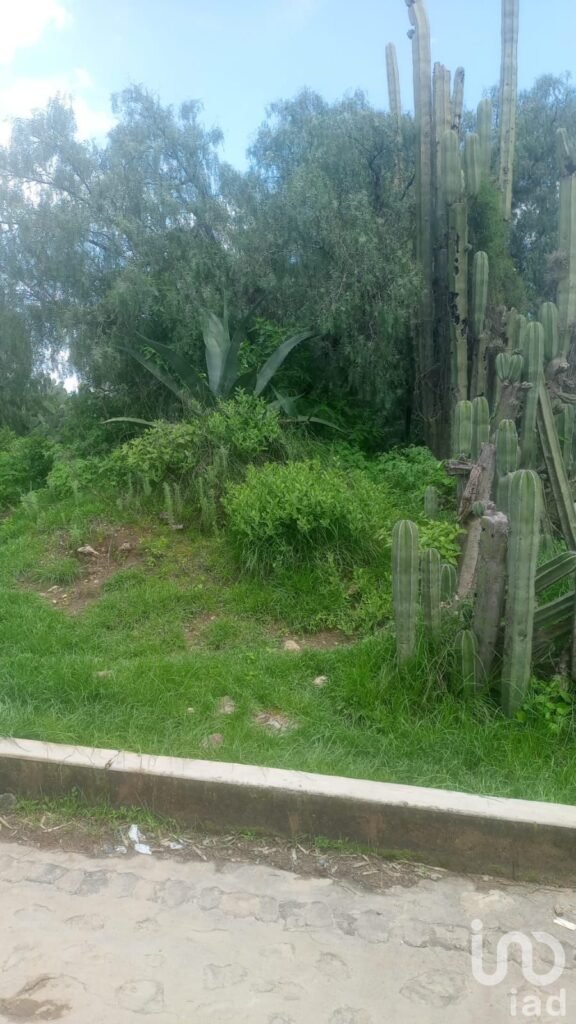 VENTA DE TERRENO TEPEYAHUALCO, ZEMPOALA, HIDALGO.