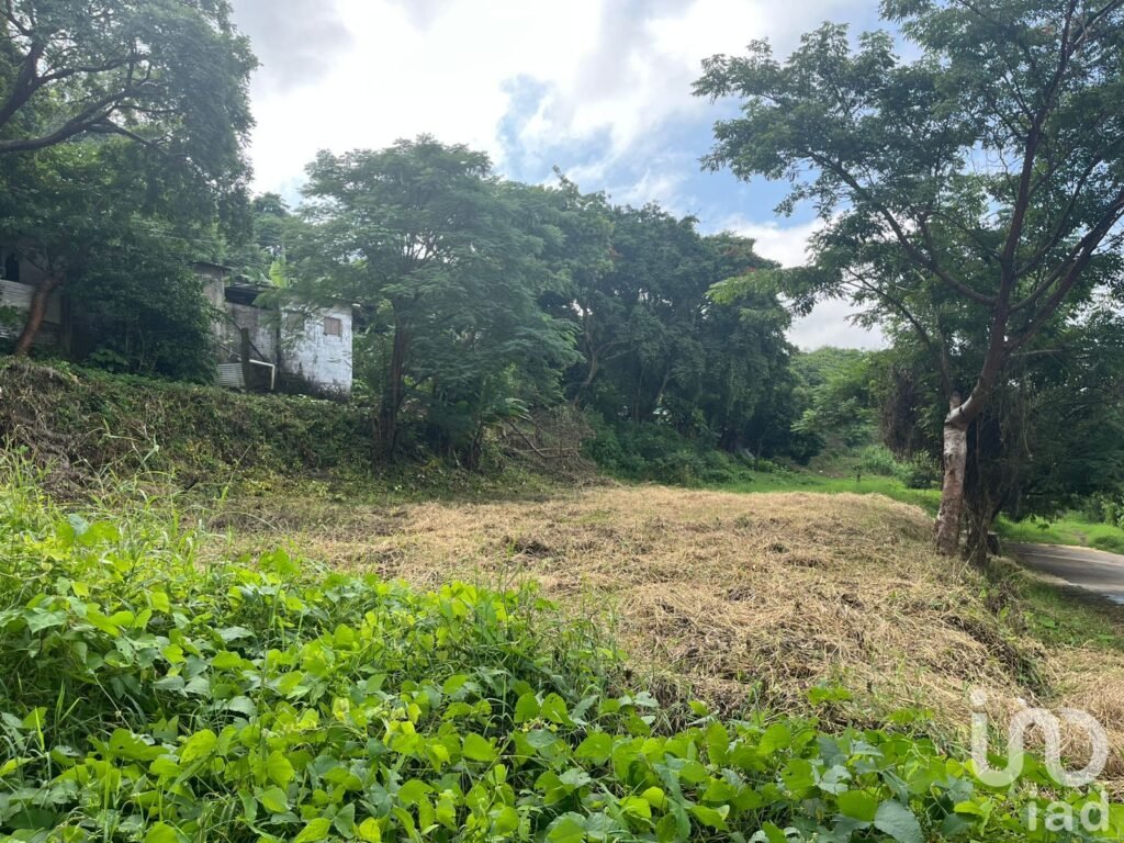 Terreno en renta en carretera costera del Golfo, col. Emiliano Zapata de San Andrés Tuxtla, Ver.