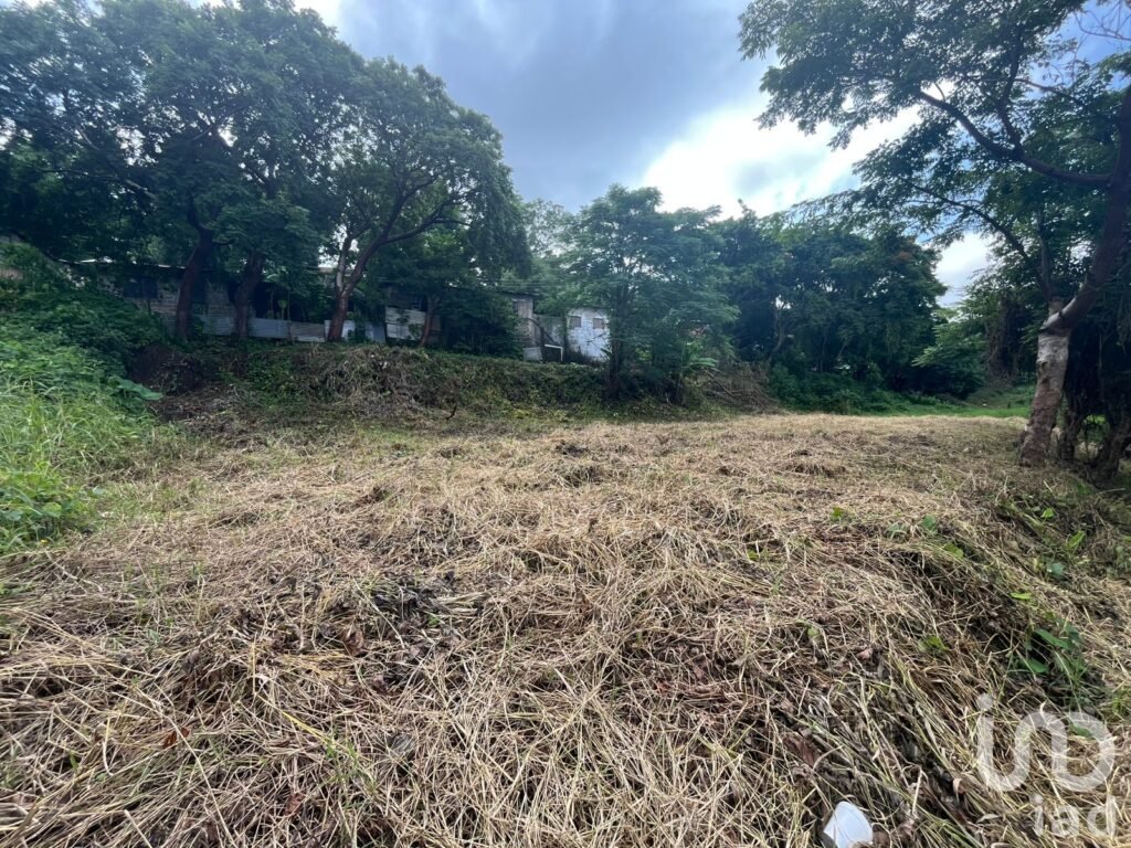 Terreno en renta en carretera costera del Golfo, col. Emiliano Zapata de San Andrés Tuxtla, Ver.