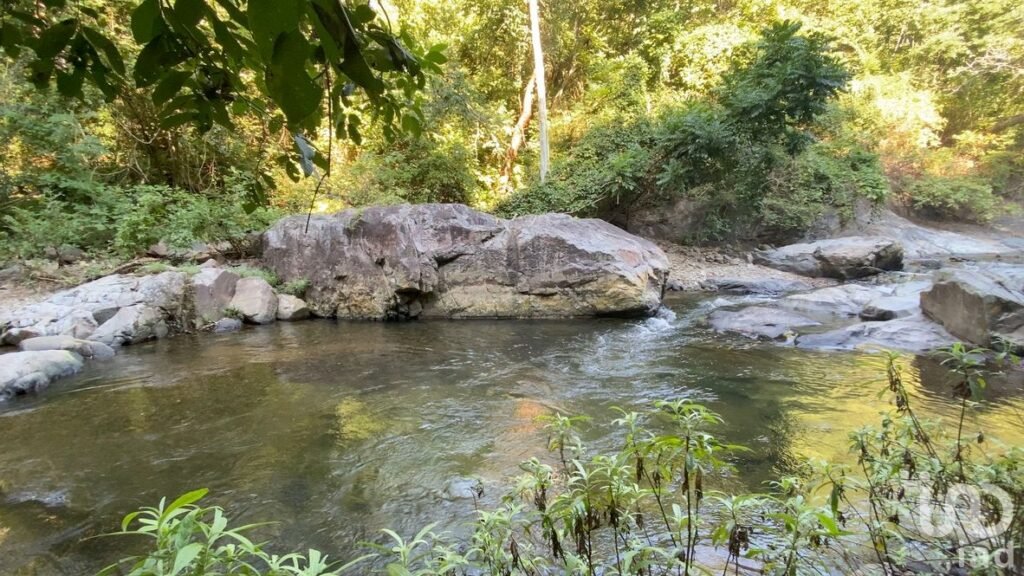 TERRENO EN VENTA  RESERVA ECOLOGICA CAJON DE PEÑAS TOMATLAN JALISCO COSTA ALEGRE