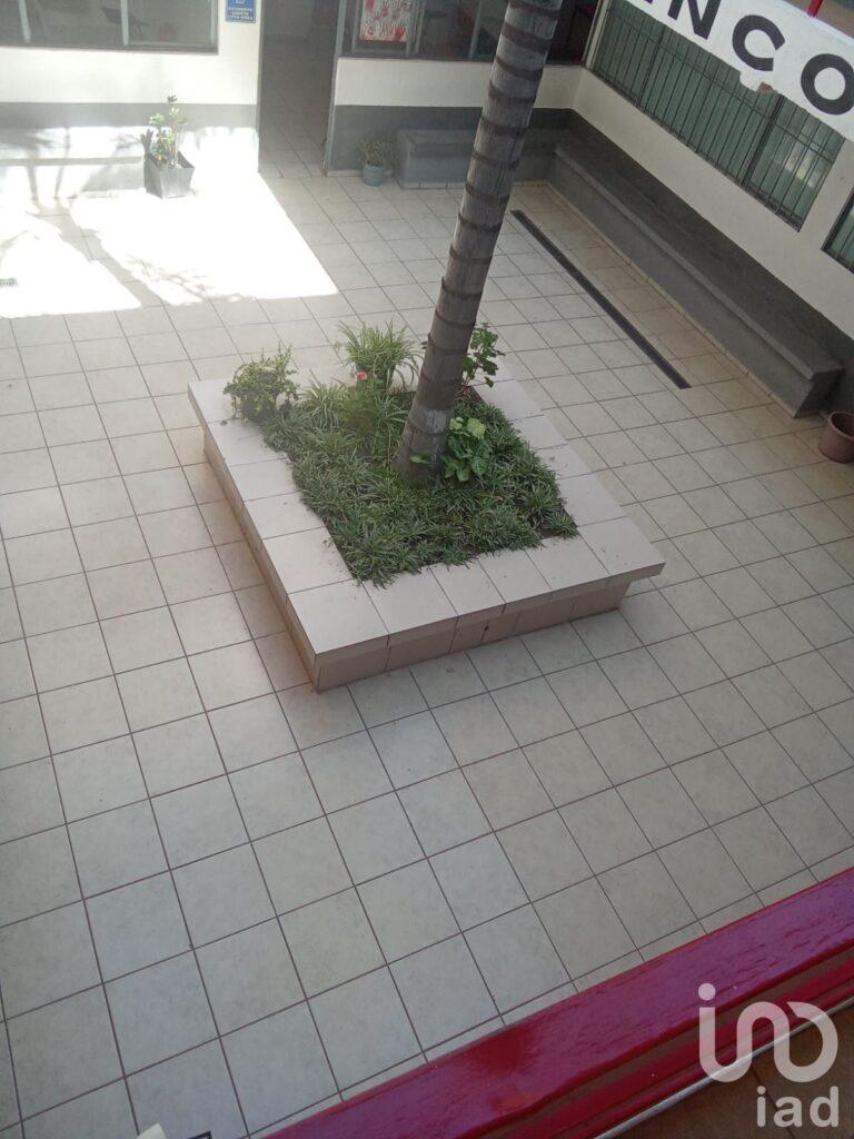 Renta de piso planta alta